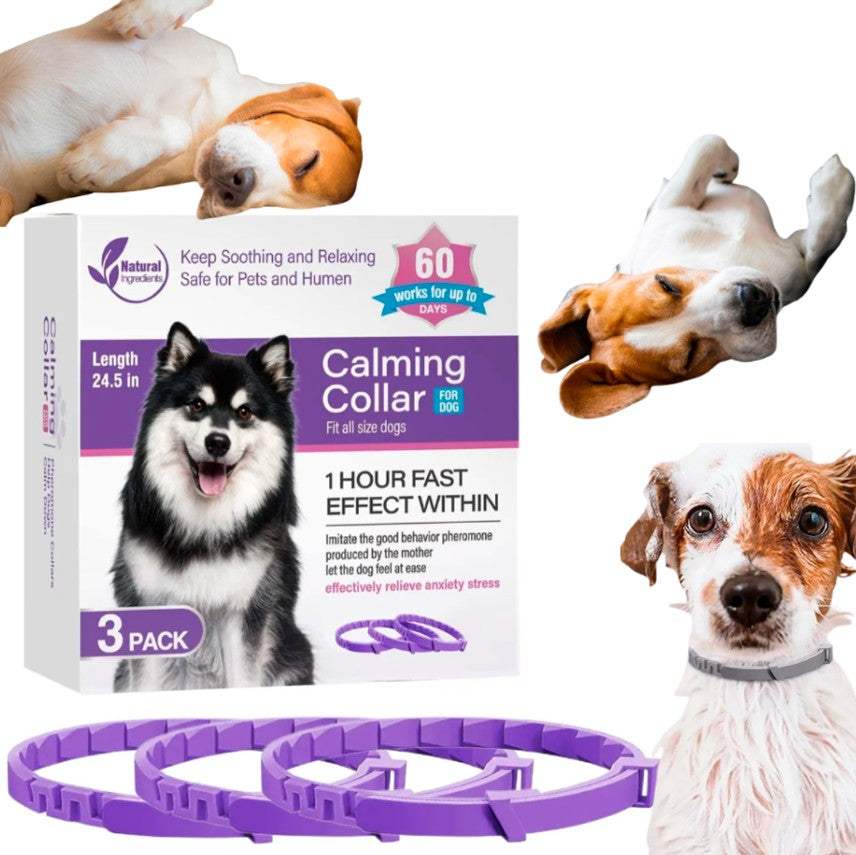 CalmiPet™ | Kit de 3 Collares Calmantes para Perros