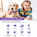 CalmiPet™ | Kit de 3 Collares Calmantes para Perros