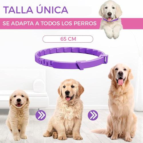 CalmiPet™ | Kit de 3 Collares Calmantes para Perros