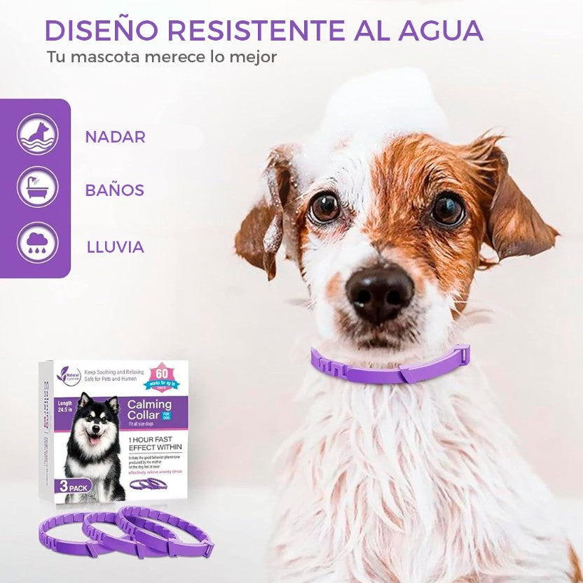 CalmiPet™ | Kit de 3 Collares Calmantes para Perros